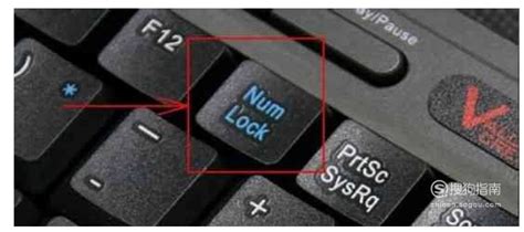 电脑键盘不能打字了按哪个键恢复?