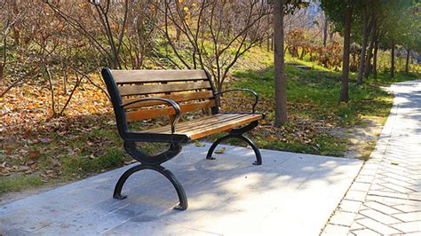 一个人静下来坐在公园的长椅上看风景,怎么会胡思乱想呢,求解答?
