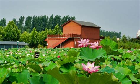 宝丰是属于哪个地区呀???