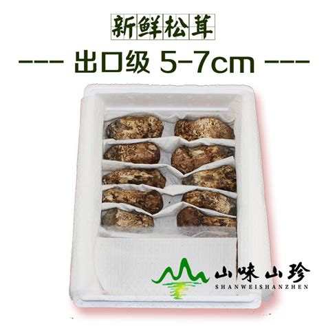 中国松茸在日本卖到1公斤670元 日本顶级中国松茸