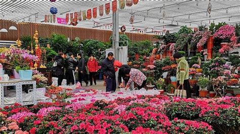 北京花乡花卉市场怎么走