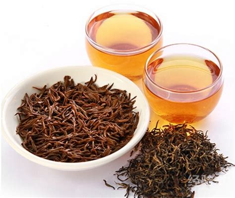 茶叶金骏眉是什么茶,金骏眉茶是什么茶树