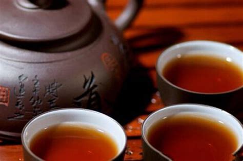 普洱茶 怎么煮茶,十大普洱茶品牌