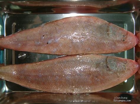 胶东海参焖鱼很好吃,海参鱼怎么做好吃又简单又好吃