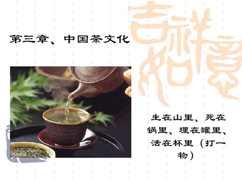 茶文化如何传至世界,穿越千年的茶文化