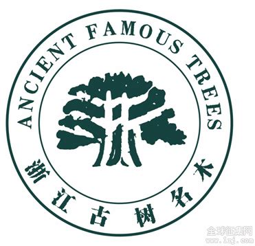 晉江的標識樹是什么樹,2019晉江國際馬拉松賽啟動報名