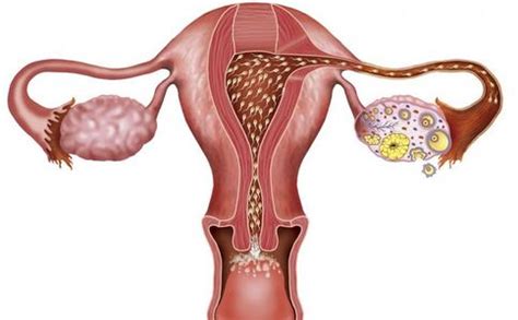 男人42岁还能要孩子吗