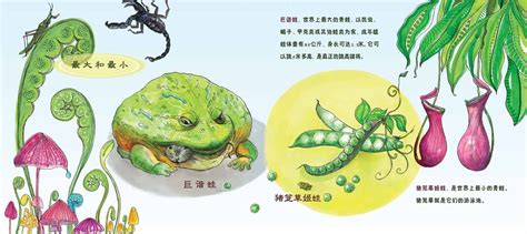 详细介绍青蛙的发育过程
