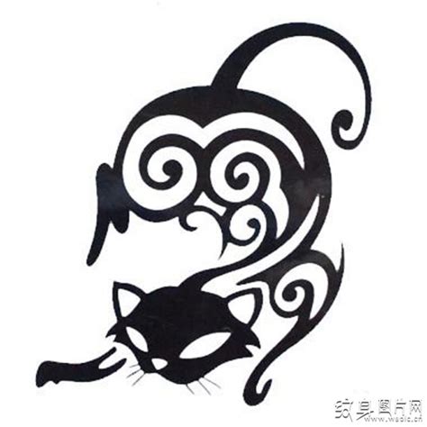 猫咪简约纹身,光彩照人的纹身