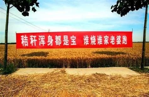 哪句标语最有效 秸秆还田标语