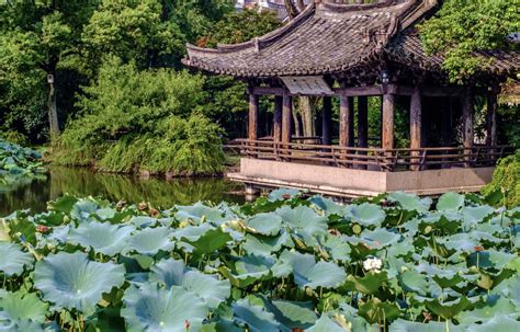 美丽的绍兴-描写绍兴风光的作文500字(精选4篇)