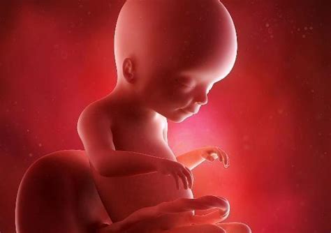 孕29周胎心基线变异