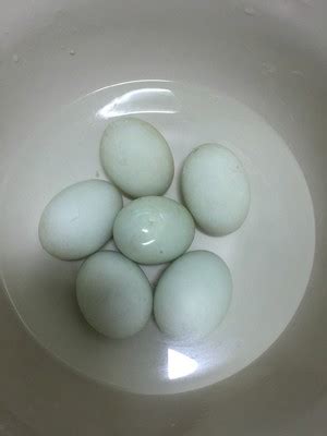 用盐水腌制咸鸭蛋的方法,怎么用盐水腌制咸鸭蛋