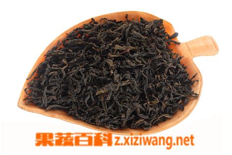武夷岩茶大红袍是红茶吗,大红袍是什么茶什么季节喝