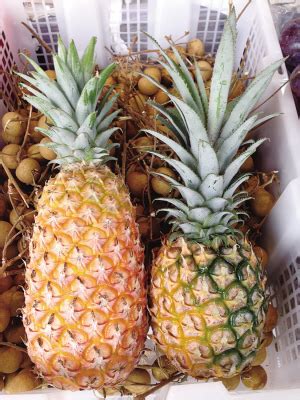 凤梨与菠萝哪个好吃吗,凤梨和菠萝到底有什么区别