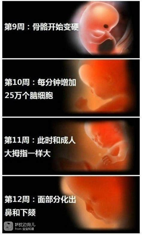 孕4周早期褐色血图片