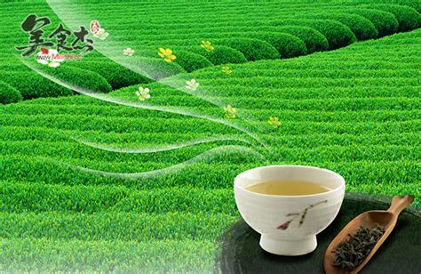 茶文化如何品茶,毛主席的茶文化