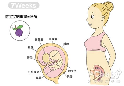 一般孕周比实际大一周