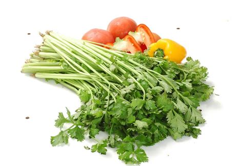 高血压芹菜怎么吃,芹菜能降高血压