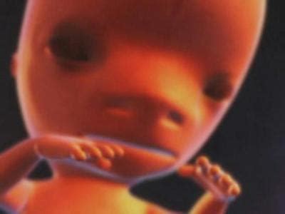 胎儿性别预测清宫表，仅需三步一分钟完成知道宝宝性别