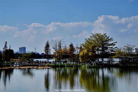 游海珠湖-游记作文500字[推荐6则]