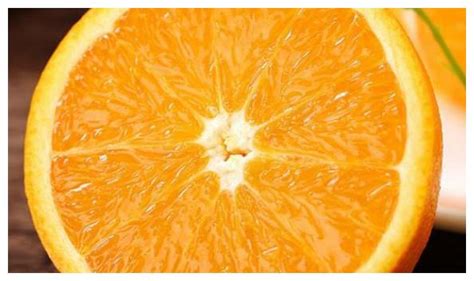 橙子是怎么杂交来的