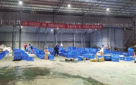 所有人一起建立一个新平台,连锁店社区团购平台有市场吗
