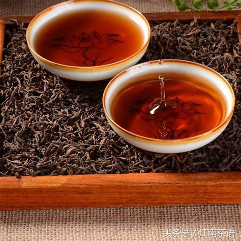 普洱熟茶有多少种香味,好的普洱熟茶什么味