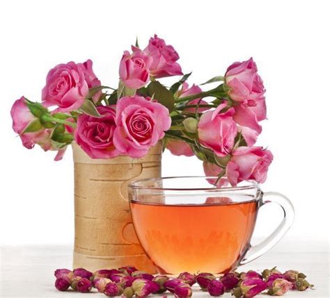 花养花玫瑰花茶,玫瑰花茶用什么花