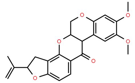 鱼藤酮中毒的机制是抑制了什么