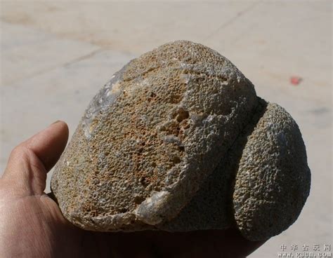 硅质石是什么石头,这种石头酷似五花肉