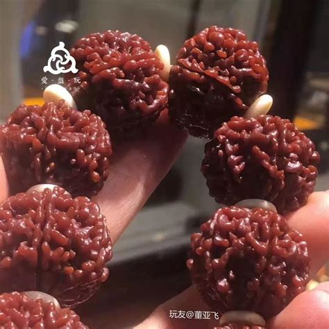 你的金刚菩提如何盘玩才会红透,金刚菩提玉化后怎么盘