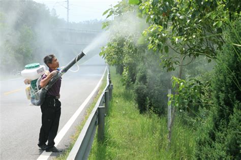 园林植物主要病虫害及防治