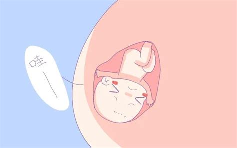 孕妇为什么要数胎动