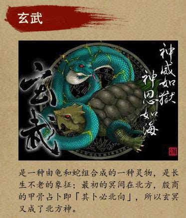 大战神四象是什么,成为了中国顶级战神