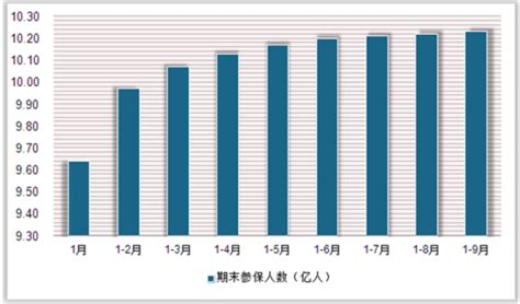 中国的医疗保险制度的构成？