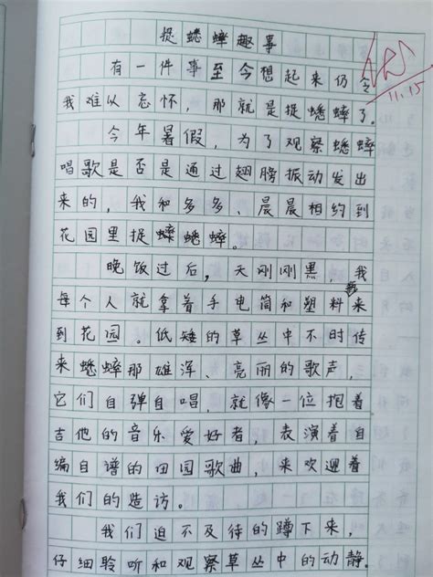 春游-一年级写人作文200字(通用6则)