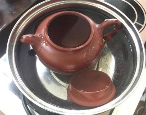 泡茶茶壶怎么使用,茶壶玻璃泡茶壶耐