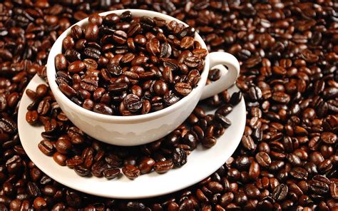 什么咖啡豆适合中度烘焙