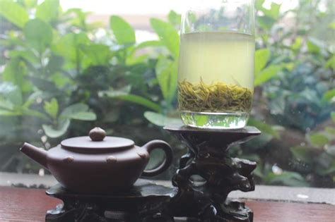绿茶最贵是多少钱一斤,信阳毛尖最贵的多少钱一斤