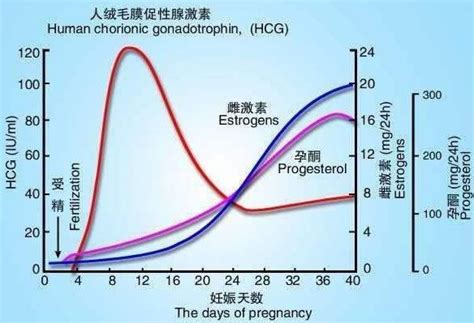 怀孕45天hcg和孕酮值多少