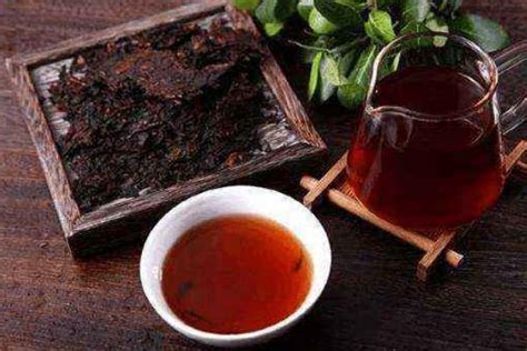糯香普洱茶属于什么茶,什么是樟香普洱茶熟茶