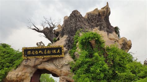 洪桐大槐树的来历?...