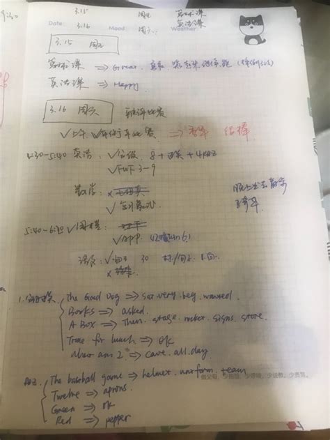 周五的篮球课_小学生作文400字(摘抄5篇)