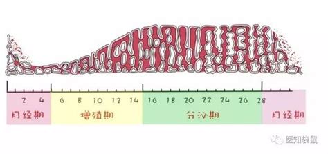 子宫内膜太厚还不来月经怎么办