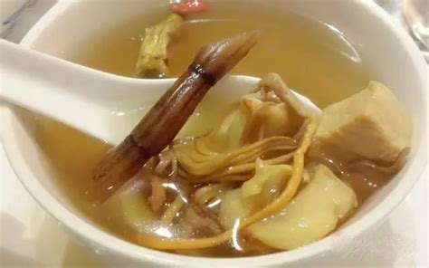 松茸可以和石斛煲汤吗 用野生灵芝煲汤