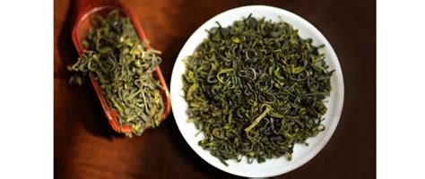 浙江大叶片茶叶有哪些,竹笋之王在浙江省首次引种成功