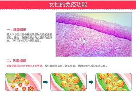 2011年大益口感怎么样,34期大益2011年勐海之春生茶