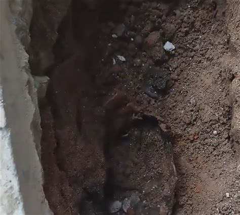 男子挖下水道掏出钱币手表吊坠