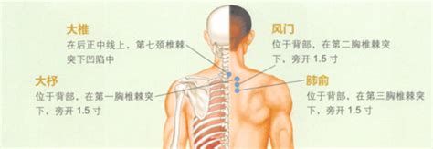 支气管炎食疗偏方秘方